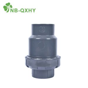 150 Psi PVC Swing Check Valve with Connector Property and Ddcv Double Lobe