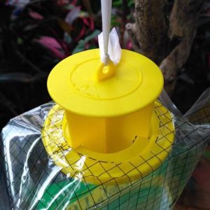 Customized Size PVC Fly Catcher Fliegentasche Cage for Fly Control in Any