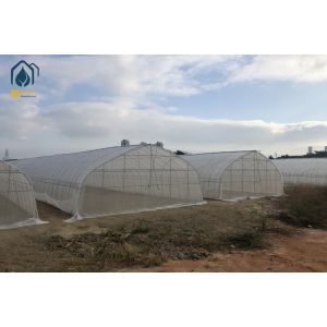 Quality Tunnel Greenhouse Agricultural Greenhouses Industrial Hydroponic For Tomato And Cucumber for sale