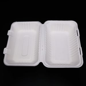 Disposable Biodegradable Sugarcane Bagasse Dinnerware Sets