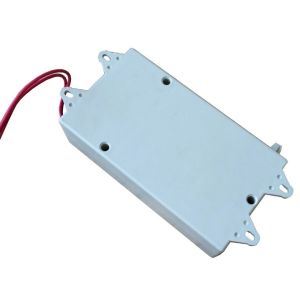 Ozone Generator for Cleaning Vegetables and Aquatic Animals AC220V/AC110V/AC24V