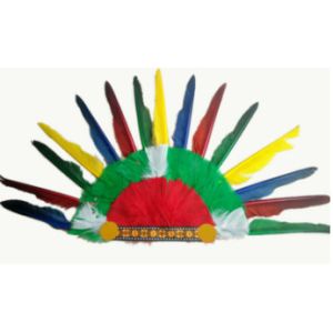 Indian headdress, ground anfield dress party outfit, feather headdress, chief