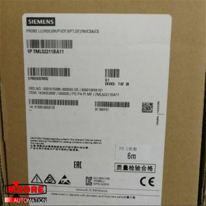 7ML5221-1BA11 7ML5 221-1BA11 Siemens Liquid Level Sensor