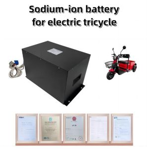 Electric Vehicle Tricycle Sodium Ion Battery Pack 20S4P 60V 62V 60AH 40140 SIB