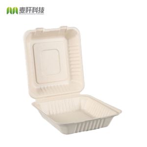 Take Out Food Sugarcane Packaging Shipping Box Biodegradable Clamshell 3