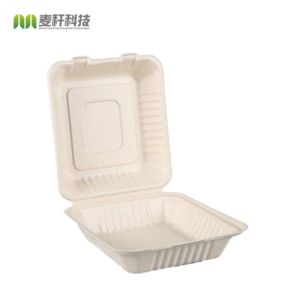 Take Out Food Sugarcane Packaging Shipping Box Biodegradable Clamshell 3