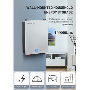 Lifepo4 Solar Rechargeable Batteries , Solar Power Wall 24v Battery Pack