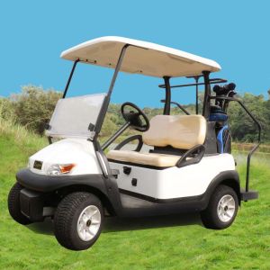 Excar 48V Electric Golf Car Pearlized Trojan Battery Aluminum Chassis