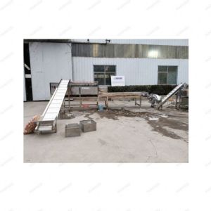 Stainless Steel Commercial Fruit Rolling Grading Machine Potato And Chestnut