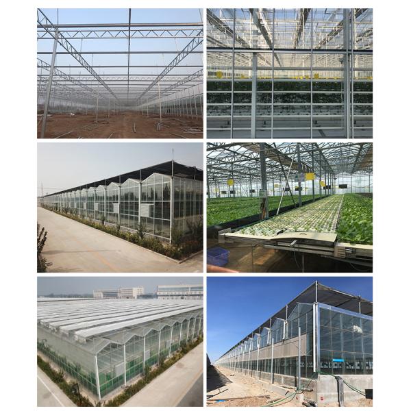 High Yield Three Layer Glass Greenhouse for Optimal Plant Growth and Vegetable Farming