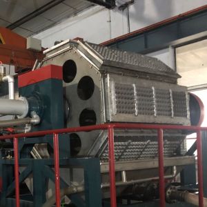 automatic cheap and fine egg tray making machine