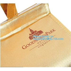 thermal insulation food distributed delivery Bag by scooter or motorcycle,office