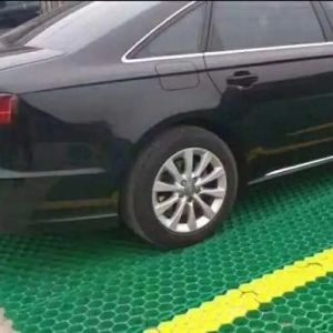 Made Parking Lot Road HDPE Grass Paving Grids for Noble Living Community Roof