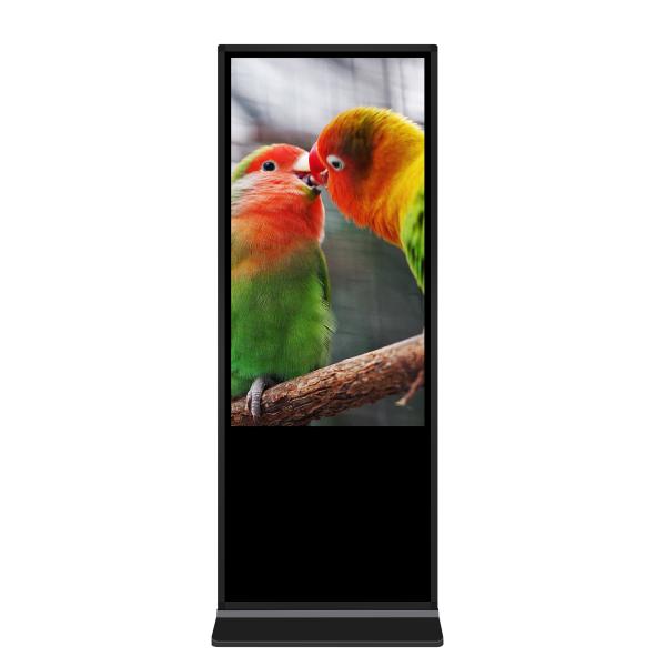 55 Inch Infrared Touchscreen Large Size Floor Stand Digital Signage Advertising