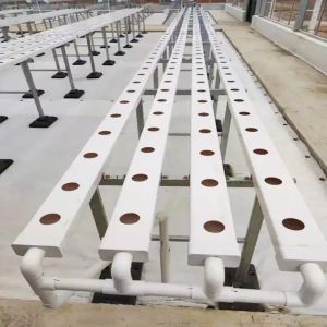 Extruding Plastic Modling Type Hydroponic Growing System for Large Scale Outdoor