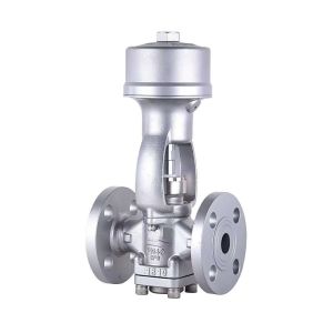 Compact Stainless Steel Piston Valve With Excellent Sealing Performance