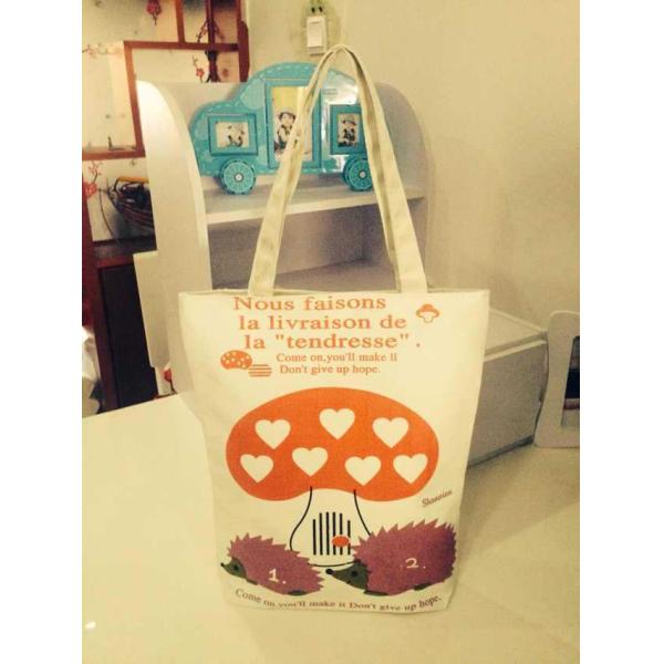 Buy Eco friendly Canvas Shopping bag at wholesale prices
