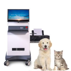 Accurate Dual Energy X-ray Absorptiometry Bone Densitometer