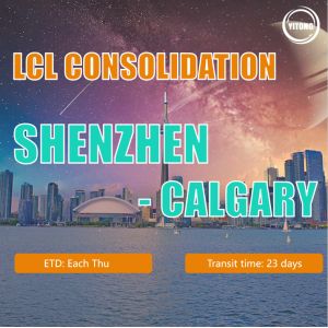 Quality Reliable China Freight LCL Consolidation Service / Shipping Container Price for sale