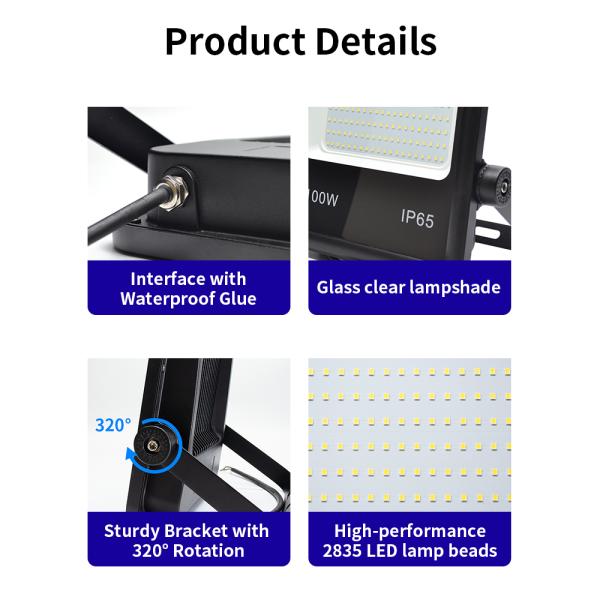 30W 50w 80w 100w 200w 300w Outdoor Wall Flood Lights High Power Super Bright 12V