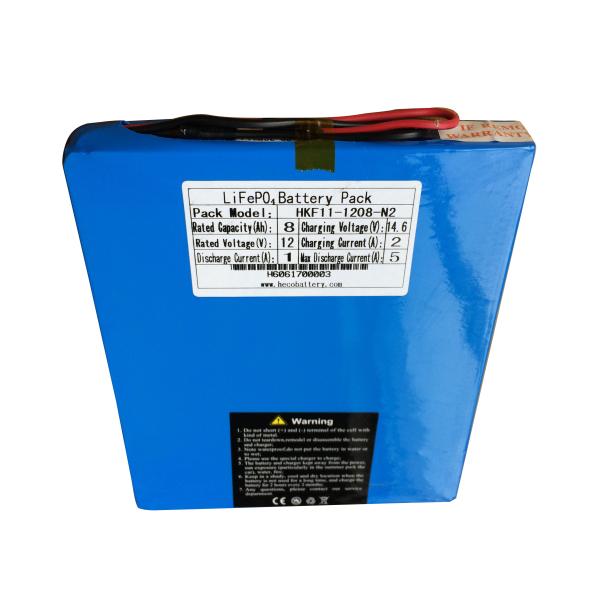 Ultra Thin Lithium Ion Phosphate LiFePO4 Batteries 12V 8Ah For Medical