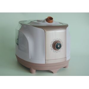 Flexible Commercial Garment Steamer Constant Temperature Setting For Drapes