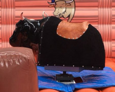 High Strength Soft Inflatable Bucking Bull Four Suture Technology