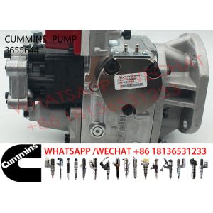 3655644 NT855 Common Rail Fuel Pump 3655642 4915427 3655758 4061218 4915427