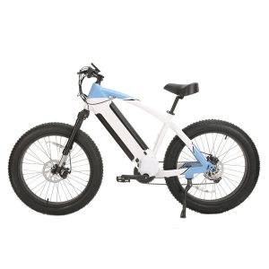 Powerful Z Star Brake Middle Drive Electric Bicycle with 26 Inch and Lithium