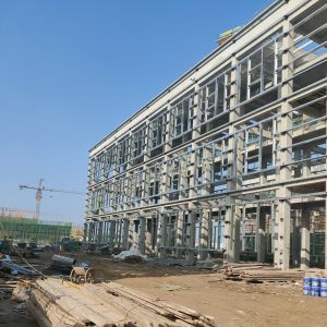 Q355 Q235 Prefabricated Multi Storey Steel Building Apartment