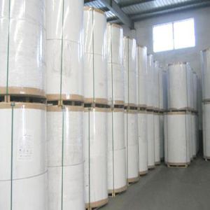 FBB Folding Box Board 170-400 GSM for Invitation Cards and Packaging