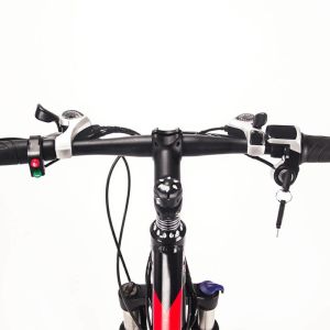 27.5inch Lithium Battery 250w 36v 9.6ah Electric Mountain Bike Rich Bit 800