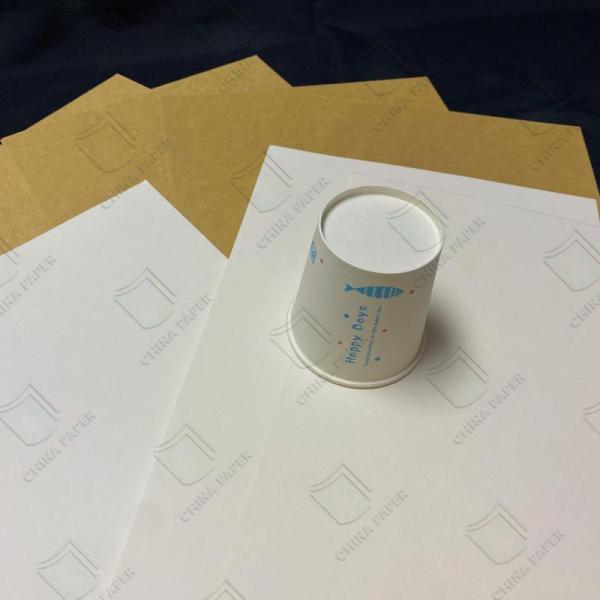 Buy Recyclable Clay Based Cupstock With Superior Printability For Branded Cups at wholesale prices