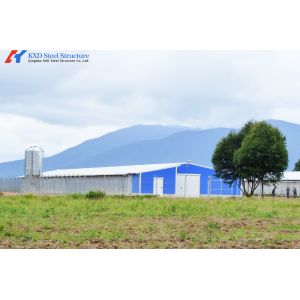 Automatic Steel Poultry House Prefab Broiler Chicken Houses with Ventilation