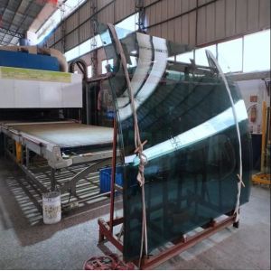 Customizable Curved Tempered Glass For Partition Bathroom Balustrade Building