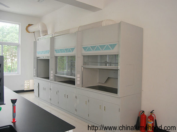 Buy Commercial Exhaust Laboratory Fume Hood Multifunctional Rustproof at wholesale prices