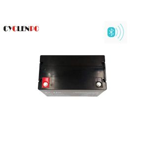 Lightweight RV Bluetooth Lithium Battery Fast Charge / Discharge With Bluetooth