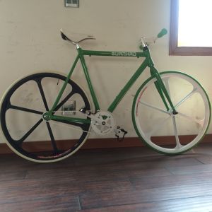 Aluminium Alloy 700C Fixed Gear Bike Fixie Road Bicycle with Aluminum Teny Rim