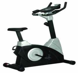 commercial upright bike