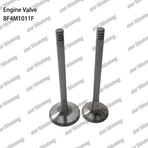 BF4M1011F Engine Piston Valve For Deutz Engine Spare Parts