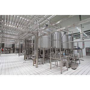 SUS304/316 customized 500-5000L/H plant milk processing line complete Soy/almond