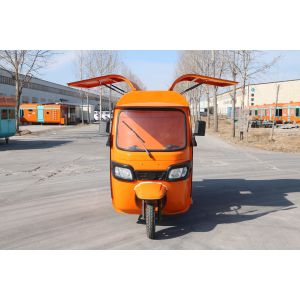 Adjustable Handlebar Dragonfly Tricycle