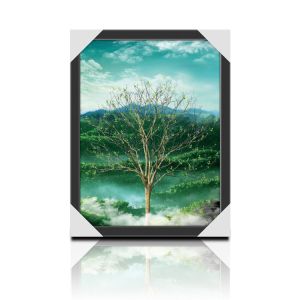 PP / PET Direct Custom Lenticular Printing 3D PIctures For Calendar