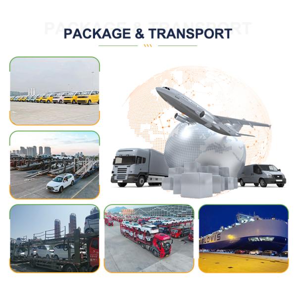 Professional HYCAN Z03 Luxury Electric Car Adult with Ternary Lithium Battery 5 Seating Capacity