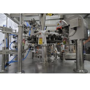 Vertical Stand Up Bag Rotary Frozen Food Packing Machine