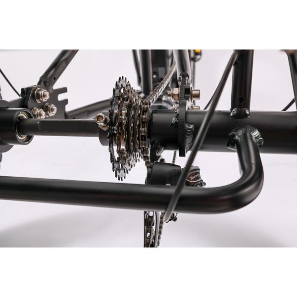 Wholesaler Adults 750w/500W 3 Wheel Electric Cargo Tricycle with Aluminium Alloy Fork