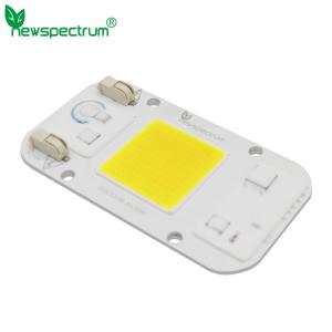 3000K 6000K AC COB LED Power 10W 20W 240V Warm Rgb LED Module