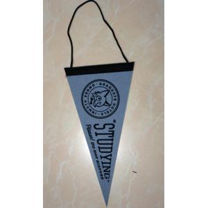 150D Polyester Advertising Sports Pennant Flag Triangle Shape