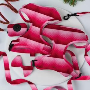 Neoprene Breathable Dog Walking Kit Flora Puppy Leashes Harnesses