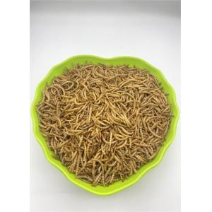1 Year Shelf Life Freeze wholesale Dried Mealworms